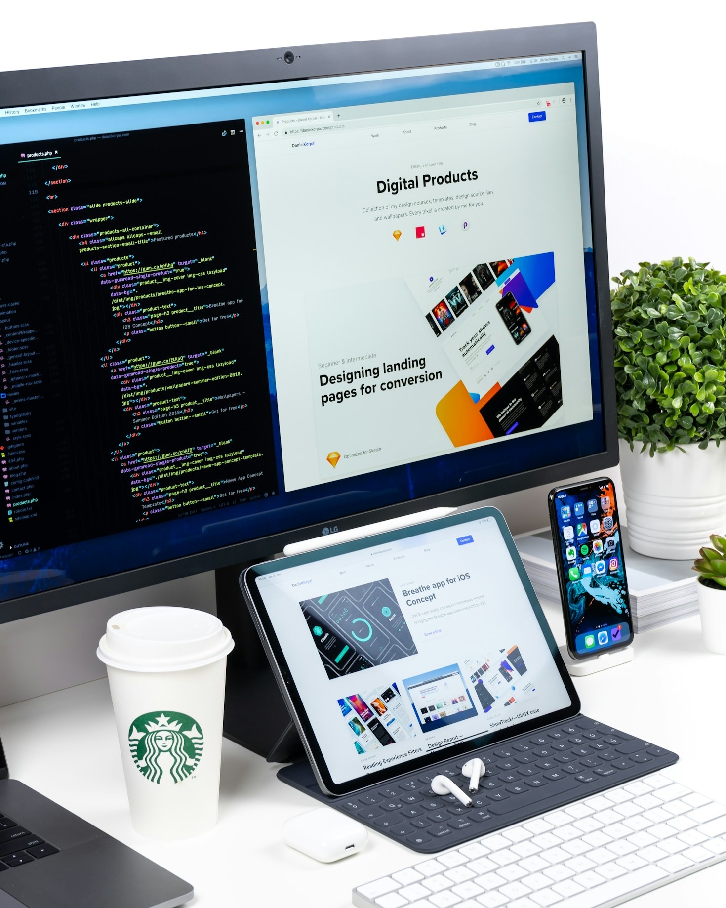 From Concept to Launch: The Web Design Journey at Ziddi